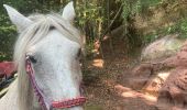 Tour Reiten Sankt Quirin - Rocher du diable Yoigo et Joyeux en main - Photo 4