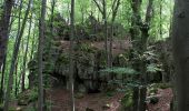 Percorso A piedi Weigendorf - Rundwanderweg Roter Punkt Ernhüll - Photo 4