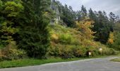 Percorso A piedi Wiesenttal - Rundwanderweg Wüstenstein - Draisendorf - Photo 10