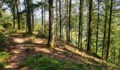 Trail Walking Vresse-sur-Semois - Balade à Chairière - Vresse sur Semois - Photo 13