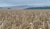 Tour Wandern Sangatte - CANI-RADO TOUR (boucle Cap Blanc nez) - Photo 5