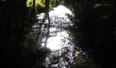 Trail Walking Virton - Fagnes Pierrard  -  Marche_4kms - Photo 15