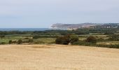 Randonnée A pied Audinghen - circuit du cap gris nez à Wissant - Photo 1