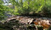 Tour Wandern Monschau - Mützenich Ternell 22 km - Photo 8