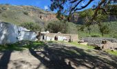 Tocht Stappen Santa Brígida - Cratère de Bandama (Gran Canaria) - Photo 16