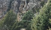 Tour Wandern Popolasca - Popolasca - Photo 1