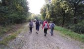 Trail Walking Pessac - Pessac - Photo 4