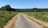 Trail Walking Bouillon - Poupehan Bouillon A/R 27 km - Photo 16