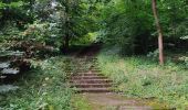 Tocht Stappen Meudon - De Meudon à Igny via foret de Verrrières - Photo 12