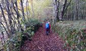Trail Walking Saint-Plantaire - le rocher de la fileuse - Photo 13
