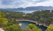 Randonnée Marche Cassis - Calanques de Port Miou, Port Pin et d'En Vau - Photo 4