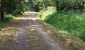 Percorso Marcia Saint-Nectaire - TOUR DU PUY D' ERAIGNE DEPUIS LE CAMPING 