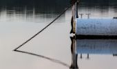 Tocht Te voet Haltern am See - Westruper Heide Rundweg A5 - Photo 10