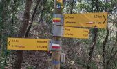 Trail Walking Malaucène - Malaucene-Crestet-Vaison la Romaine  - Photo 10
