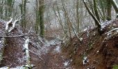 Tour Wandern Souligny - Souligny 23km le 09/02/2021 - Photo 4