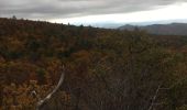 Tour Wandern Cruis - Jas Neuf, Jas pierrefeu et Jas Roche - Photo 5