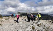 Excursión Senderismo Ollioules - Le croupatier vallon des bonnes herbes cap gros - Photo 2