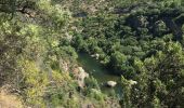 Tour Wandern Vieussan - Tour de l’Ayrolle au départ de Vieussan. - Photo 4