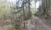 Trail Walking Aywaille - ninglinspo . chefna . fond de quareux  - Photo 17