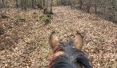 Trail Horseback riding Saint-Martin - Samedi 17 février 24 Tivio  - Photo 1