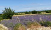 Tocht Stappen Clansayes - SityTrail - 2656269 - chantemerle-clansayes-15km - Photo 5