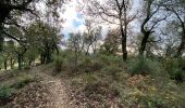 Trail Walking Pignans - Sainte Marie des Anges 15,8 km - Photo 8