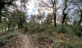 Excursión Senderismo Pignans - Sainte Marie des Anges 15,8 km - Photo 8