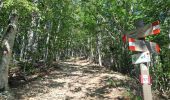 Tour Wandern San Marcello Piteglio - Rifugio Casetta Pulledrari - Monte Gennaio - version facile - Photo 3