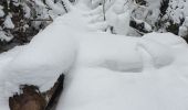 Tocht Sneeuwschoenen Bois-d'Amont - bois d'amont - Photo 1