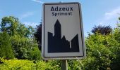 Randonnée Marche Sprimont - Banneux - Rouge Thier - Adzeux - Photo 4