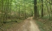 Trail Walking Rochefort - rochefort- resteigne - Photo 10