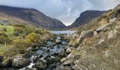 Trail Walking Kenmare Municipal District - Gap of Dunloe - Photo 5