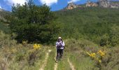 Excursión Senderismo Laval-d'Aix - Col d’Ayaste depuis L’aval d’Aix - Photo 3