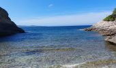 Randonnée Marche Patrimonio - sentier du littoral de St Florent à Punta di Saeta - Photo 6