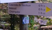 Randonnée Marche Haut Valromey - Le Jorat  - Brénod  - Photo 7