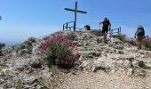 Trail Walking Toulon - Autour du Mont Faron - Photo 19