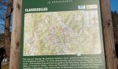 Tour Wandern Claveisolles - rando autour de Claveisolles  - Photo 1