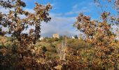 Tocht Stappen Rochefort-en-Valdaine - tmpWriteApidae_267713_fr - Photo 2