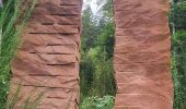 Trail Walking Urmatt - Lutzelhouse - sentier des géants - Photo 7