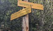 Excursión Senderismo Saint-Julien-Mont-Denis - Chemin des Ardoisiers  - Photo 2