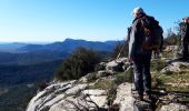 Excursión Senderismo Cuers - Barres de Cuers  - Photo 17