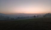 Trail Walking Ferrières - entre xhoris et bois de monty - Photo 1