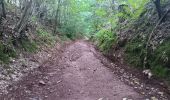 Trail Walking Aywaille - dieupart . embleve . thier bosset . kin . henoumont . vieux jardin . dieupart  - Photo 9