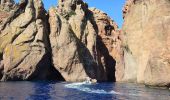 Excursión Barco a motor Ota - Calanques par la mer Scandola Girolata - Photo 12