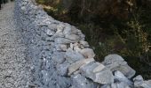 Randonnée Marche Cabrières-d'Avignon - le mur de la peste château petraque - Photo 11