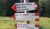 Percorso A piedi Pinzolo - IT-O203 - Photo 2