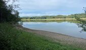 Tocht Stappen Aire-sur-l'Adour - GR65 Aire sur Adour > Miramont-Sensacq - Photo 10