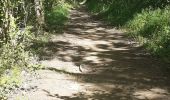Trail Walking Puy-Saint-Martin - PUY ST MARTIN ROYNAC - Photo 10