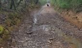 Trail Walking Nassogne - Vers les bisons - Photo 15