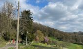 Tour Wandern Olne - Rafhay Vaux Nessonvaux prés de Srtaet - Photo 2